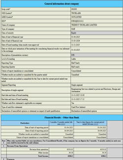 onsolidated Revised XBRL Report