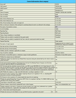 Standalone XBRL Report